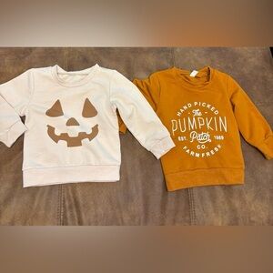 Toddler Pumpkin Patch Fall Halloween Sweatshirt Lot Of 2